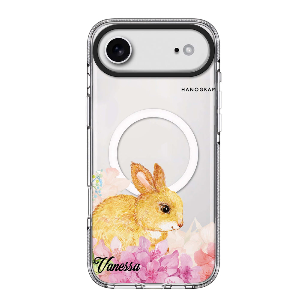 iPhone Air 水晶透明保護殼