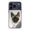Watercolour Cat 款式5 貓咪 iPhone 17 Pro Max 鏡面手機殼主圖